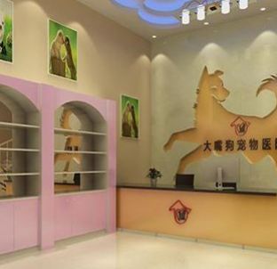 开一家宠物康宠物医院加盟费多少?加盟怎么样?