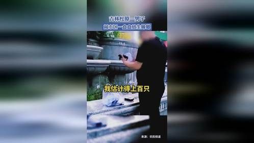 吉林松原一男子，闹市区一盒盒放生蟑螂