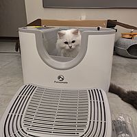 千呼万唤出来--Furoomate自动猫砂盆开箱