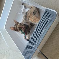 猫砂盆