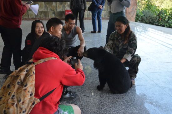 小黑熊现场与游客互动