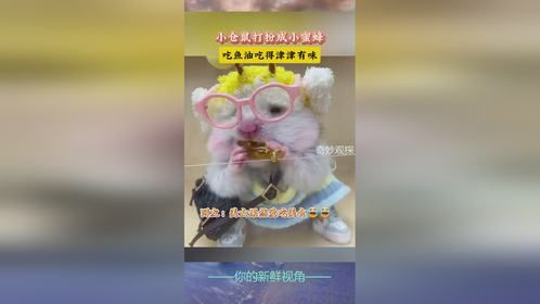果然美女爱吃美食