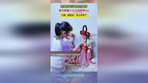 狗狗们充当萌娃的模特，每天陪着小主人玩各种cos，小狗：再忍忍，马上开学了