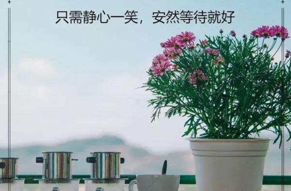 江苏宠物养护与经营中职学校排名榜（最新）