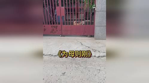 没关系，我会替他们吵