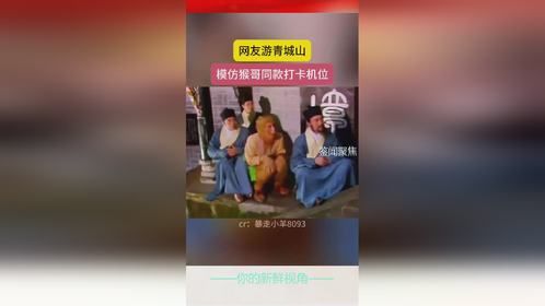 网友游青城山模仿猴哥同款打卡机位
