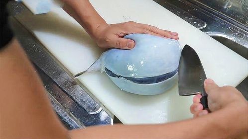 男子趁着河豚鼓起肚子，一刀将其剖腹，结果让人想不到