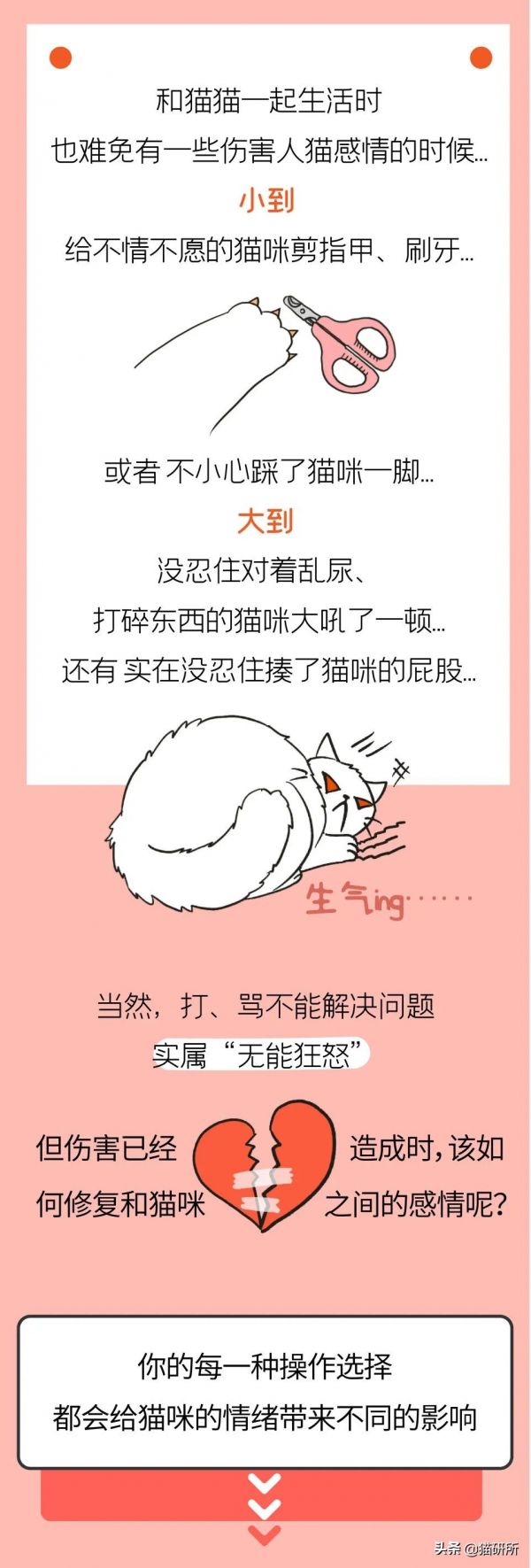 猫咪AI故事脚本创作指南：全面解析写作技巧与相关问题解答