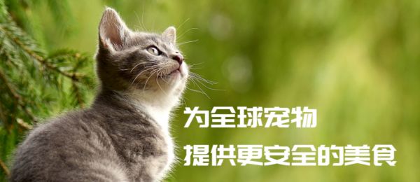 2024最大宠物融资诞生!「帅克宠物」获近10亿融资