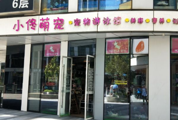 小佟萌宠宠物游泳馆