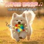 狗狗飞盘玩具毛绒发声互动飞盘耐咬磨牙用品宠物边牧训练训狗专用