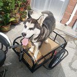 自行车电动摩托车拖车挂车后挂式户外旅行骑行载物拖斗宠物小拖车