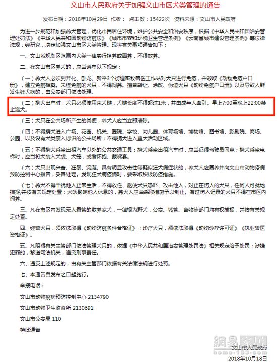 家有爱犬该怎么布置?这些物品让它秒变狗生赢家