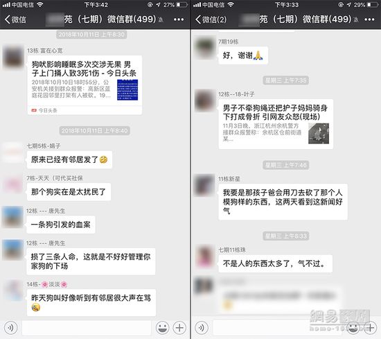 家有爱犬该怎么布置?这些物品让它秒变狗生赢家