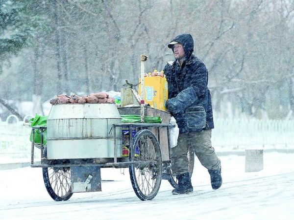 怎样训练让宠物狗听话“狗语者”(视频合辑)