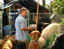 怎样训练让宠物狗听话“狗语者”（视频合辑）