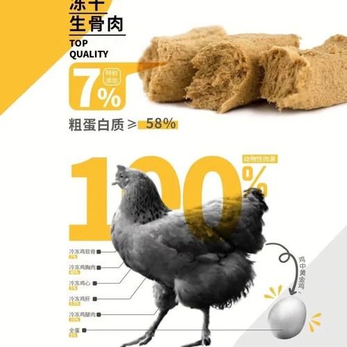 狗粮哪个品牌的好