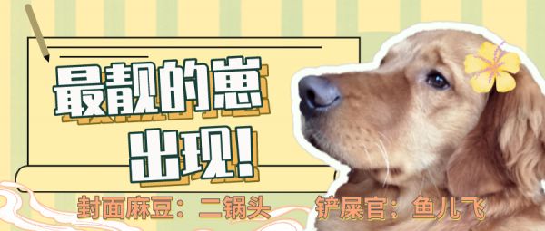 一张图带你了解：狗狗该如何清洁护理？