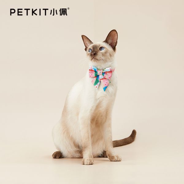 小佩(PETKIT)宠物领结领带猫咪狗狗领结项圈可爱围脖饰品小型犬宠物用品 宠物配饰挂牌 嘻红柿