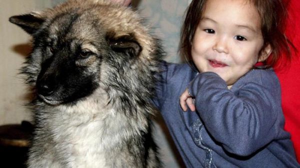 3岁女孩跟着宠物犬跑去森林，近两周后小狗只身回家并对主人吠叫