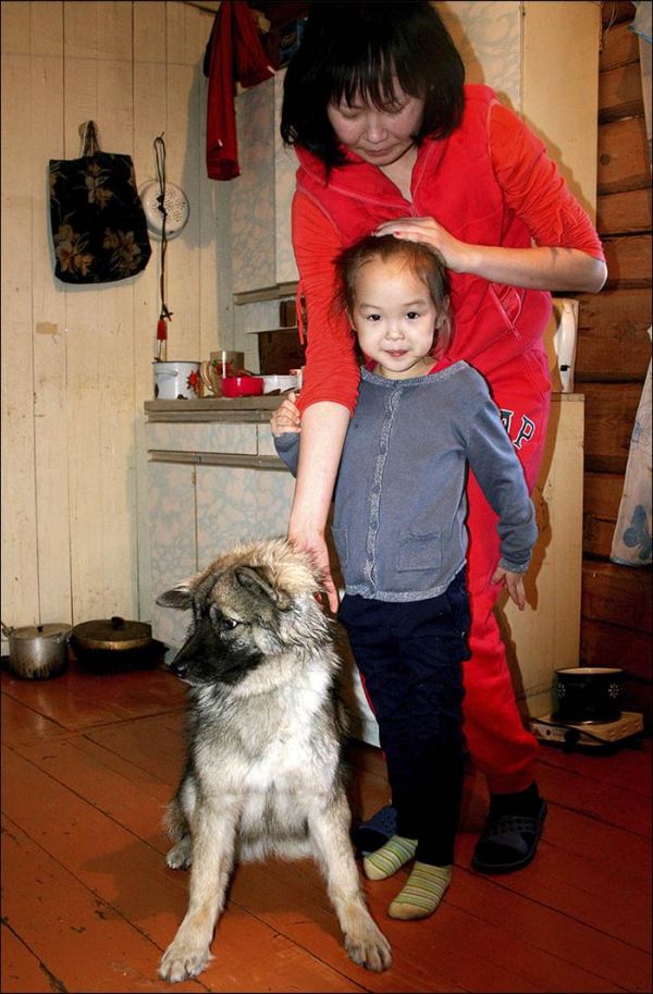 3岁女孩跟着宠物犬跑去森林，近两周后小狗只身回家并对主人吠叫
