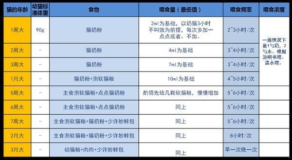新手养猫指南喂养篇：猫猫日常饲养及不同时期猫咪的饲养方法
