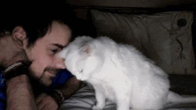 你如果不了解猫咪的所有行为，至少要知道猫咪喜欢蹭人的原因吧