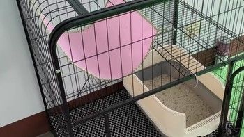 猫笼家用室内带厕所一体超大自由空间猫咪猫窝猫舍清仓猫笼子别墅