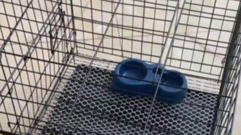 宠乐乖（CHONGLEGUAI）猫别墅猫笼子带厕所大号加粗方管猫窝猫舍猫屋家用宠物笼子三层