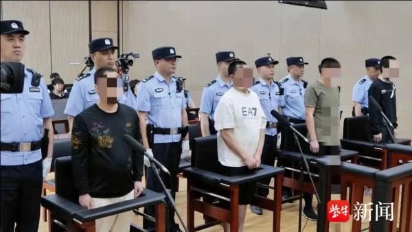 一审宣判！1200多只野生画眉鸟被捕捉售卖，四人获刑刑期最高五年半