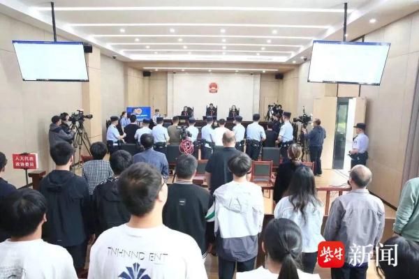 一审宣判！1200多只野生画眉鸟被捕捉售卖，四人获刑刑期最高五年半