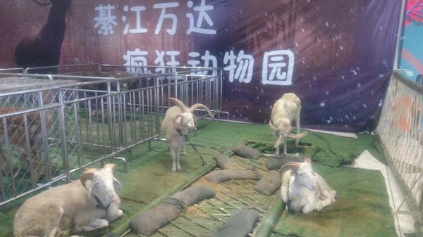 微信图片_20180802104052.jpg