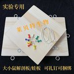 大小鼠手术台手术板大小鼠解剖板兔板蛙板固定板软木扎钉捆绑