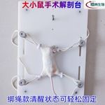 小鼠解剖台大鼠豚黑鼠手术台针艾灸板固定板手术灯生物实验小动物
