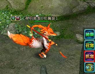 捕捉宠物