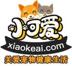 小可爱