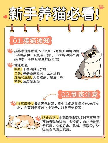 新手养猫须知：提前做好攻略‼️