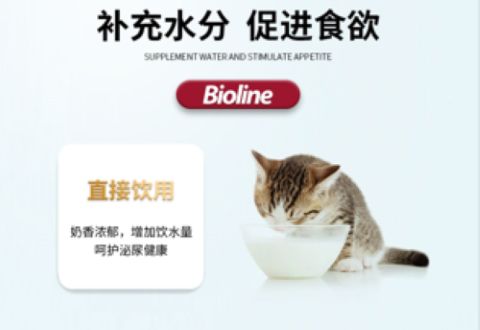 0乳糖牛奶适合哪些宠物