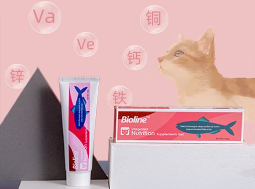 了解宠物营养膏功效