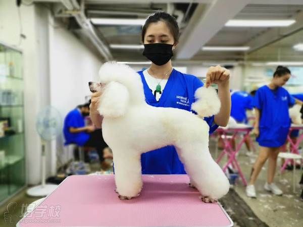 教学现场 (2)