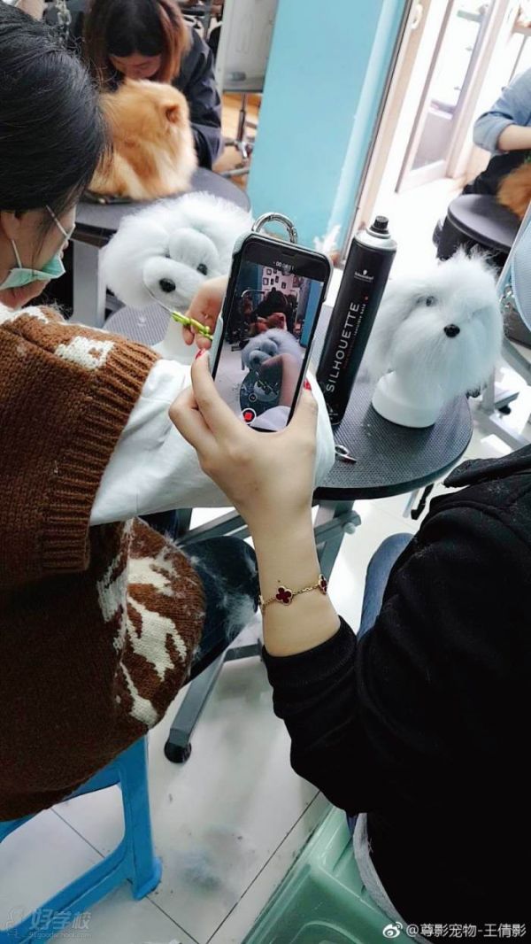 模拟训练