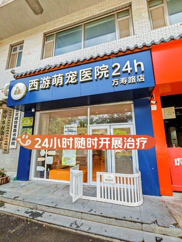 宠物24小时守护者！