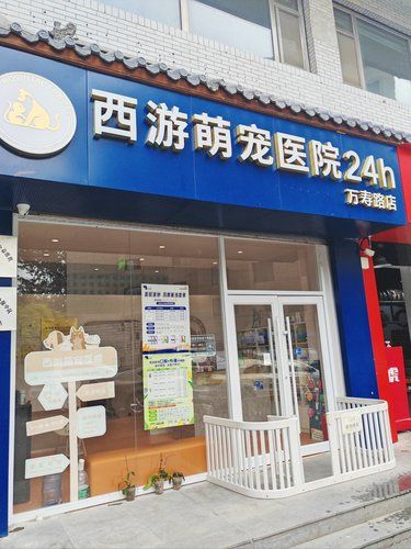 万寿路24h营业的宠物医院
