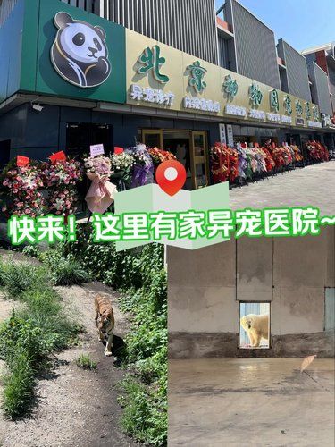 谁说宠物医院只接待猫猫狗狗
