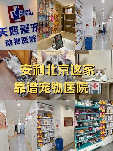 铲屎官看过来|安利北京这家靠谱省心宠物医院