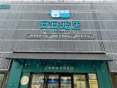 养宠看病贵