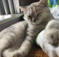 夏天晒得区黑