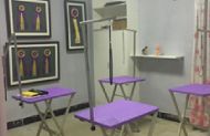 学校介绍 (4)