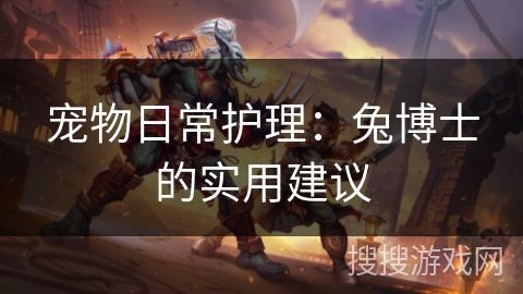 宠物日常护理：兔博士的实用建议