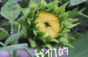 “零”感夏日,不仅意味着清凉,也是“零废弃”